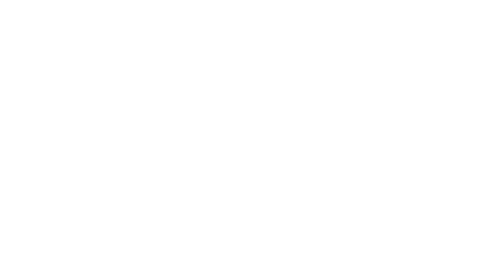 Bruna Financial Services logo